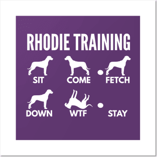 Rhodesian Ridgeback Training Rhodie Dog Tricks Posters and Art